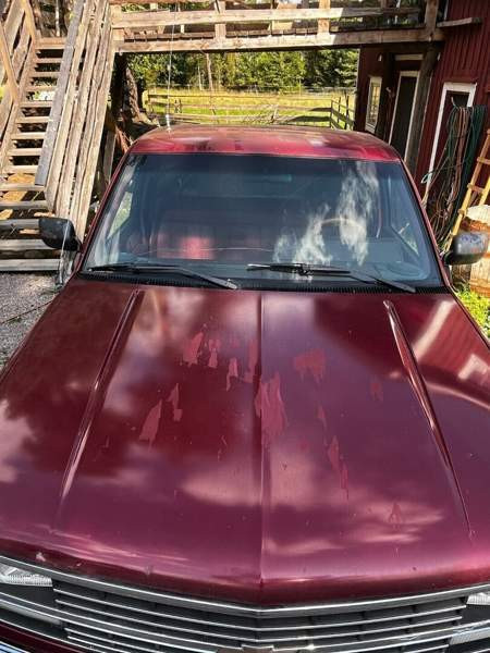 Chevrolet Fleetside Porvoo - valokuva 4