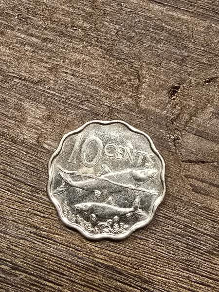 Bahaman 10 senttiä 2016 Ювяскюля - изображение 1