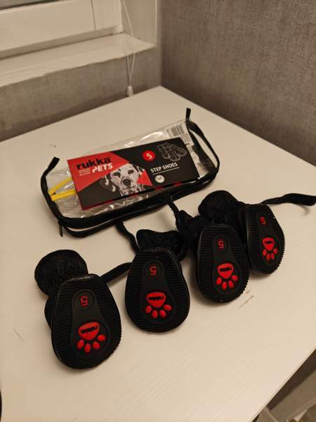 Koiran tossut Rauma - valokuva 2