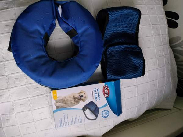 Urosvyö ja kauluri Kempele - photo 1