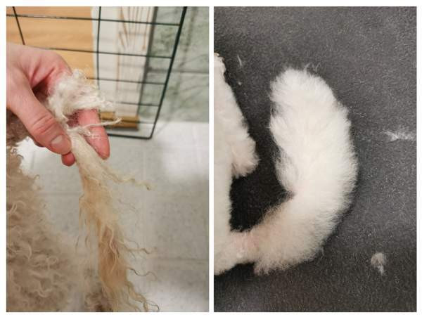 Trimmaus Helsinki - valokuva 7