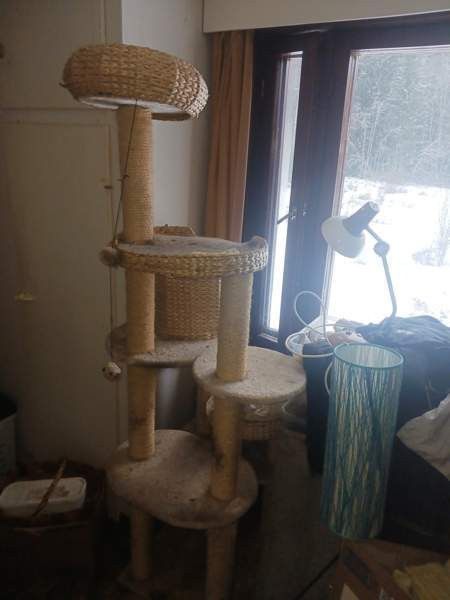 Kissan raapimis teline Vesilahti - изображение 2