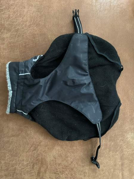 Koiran takki Tampere - photo 2