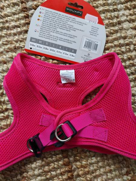 Uudet koiran valjaat Lahti - photo 2