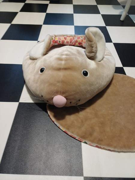 Hiiripeti Uusikaupunki - valokuva 6