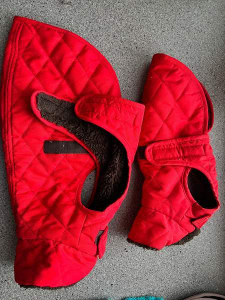 Koiranpennun/pienen koiran tarvikkeita Kankaanpää - изображение 2