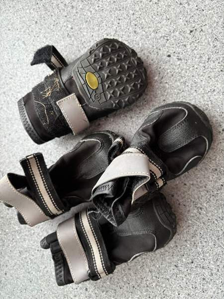 Koiranpennun/pienen koiran tarvikkeita Kankaanpää - изображение 8