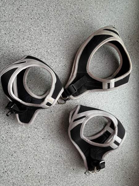 Koiranpennun/pienen koiran tarvikkeita Kankaanpää - изображение 5