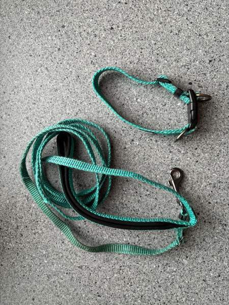 Koiranpennun/pienen koiran tarvikkeita Kankaanpää - изображение 7