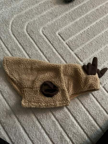 Koiran takkeja koot 25&30 Rovaniemi - photo 5