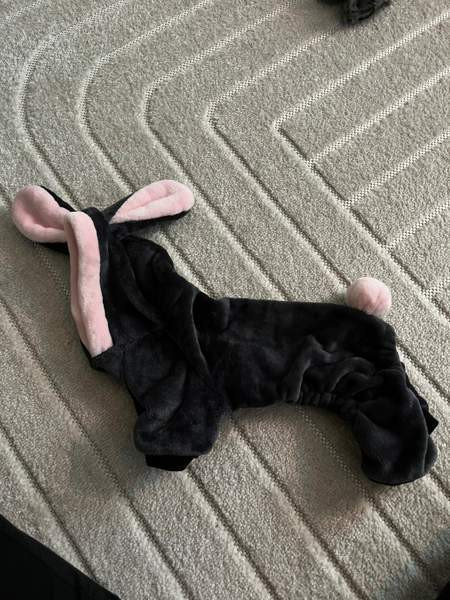 Koiran takkeja koot 25&30 Rovaniemi - photo 4