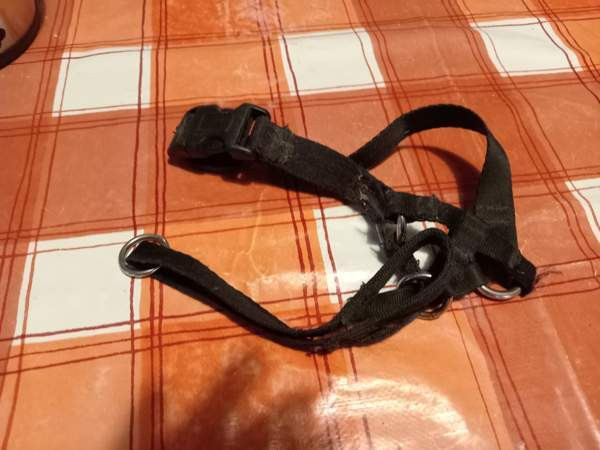 Koiran kuonopanta Котка - изображение 1