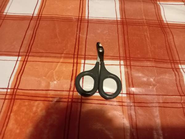 Kissan kynsisakset Котка - изображение 1