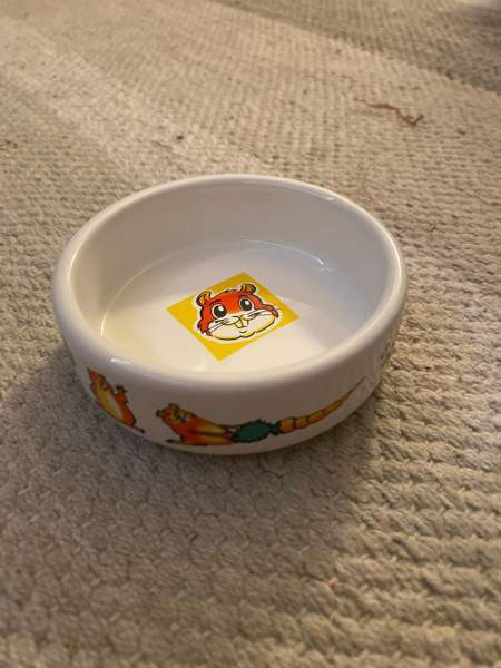 Jyrsiän ruoka tai juoma kuppi Kemi - valokuva 1