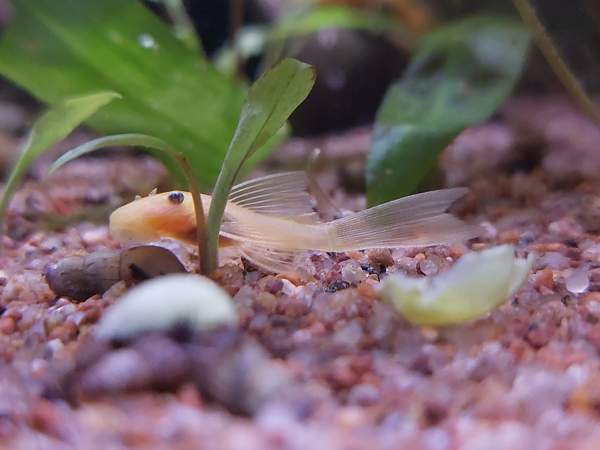 L144a ja L144 Jyvaeskylae – foto 1