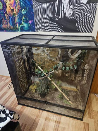 90×90×45 exoterra Joroinen - изображение 1