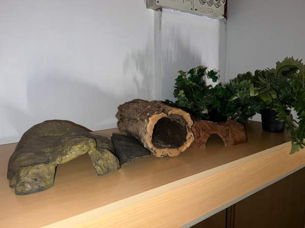 Liukuovi terraario+tarvikkeet Hämeenkyrö - изображение 2