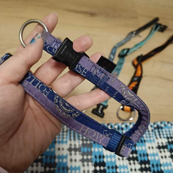 Koiran kaulapantoja setti Вантаа - изображение 8