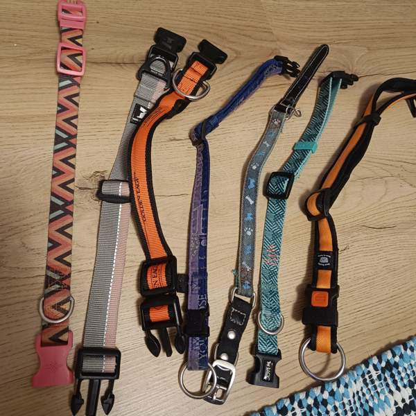 Koiran kaulapantoja setti Вантаа - изображение 1