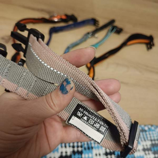 Koiran kaulapantoja setti Вантаа - изображение 5