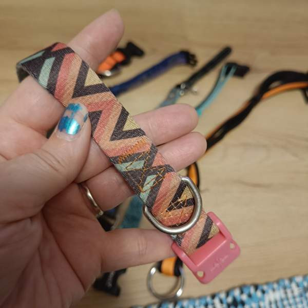 Koiran kaulapantoja setti Вантаа - изображение 2