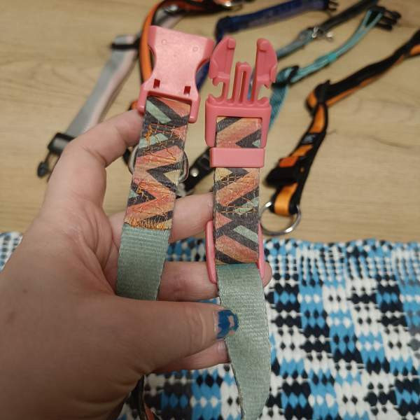 Koiran kaulapantoja setti Вантаа - изображение 3