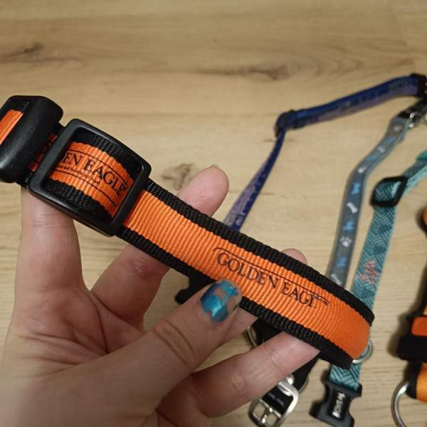 Koiran kaulapantoja setti Вантаа - изображение 6