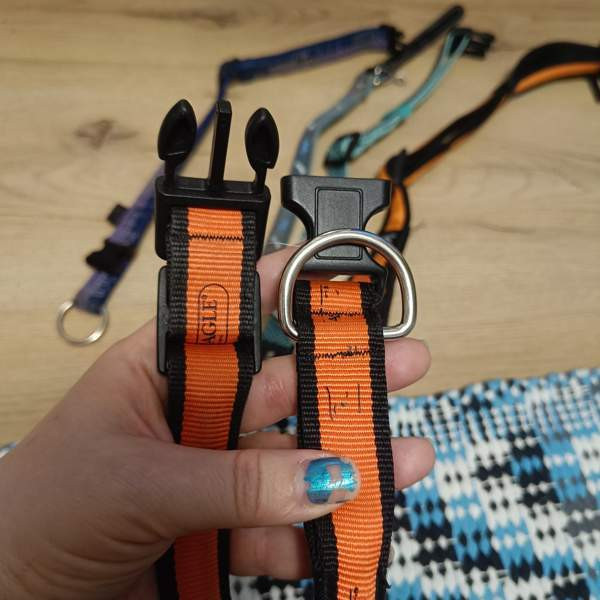 Koiran kaulapantoja setti Вантаа - изображение 7