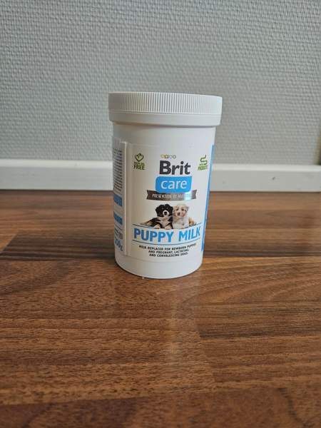 Puppy milk Muurame - valokuva 1