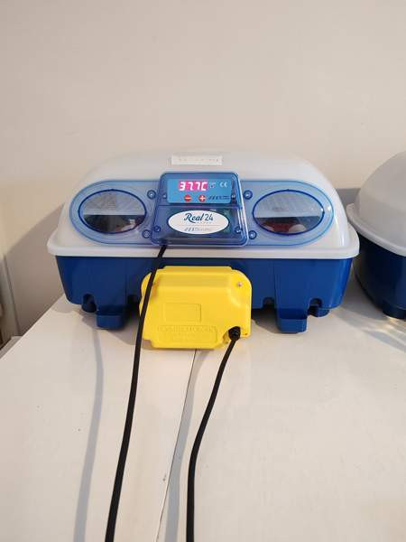 Hautomakone vuokralle Kontiolahti - photo 1