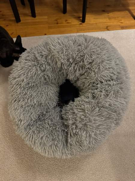 Kissan peti Тампере - изображение 1