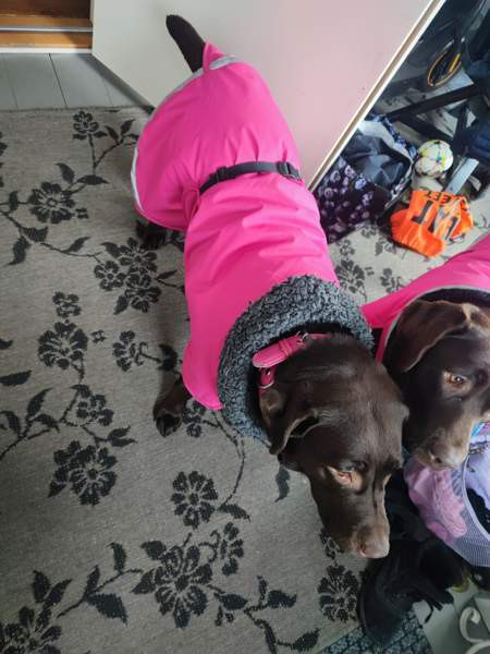 Toppa Pomppa 65cm Kotka - photo 3