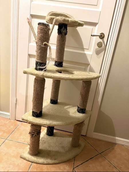 Kissapuu Tuusula - photo 1