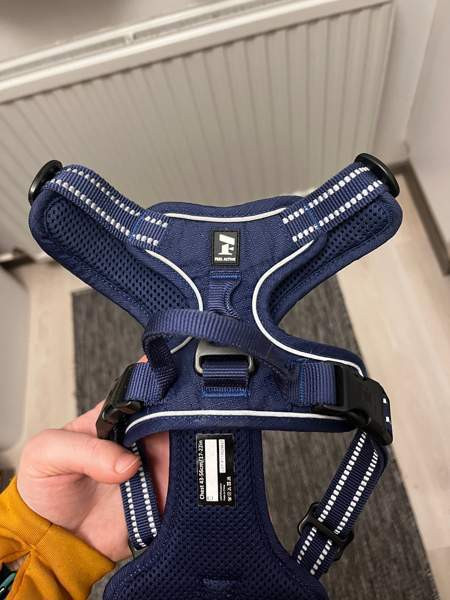 Feel active valjaat Rovaniemi - photo 2