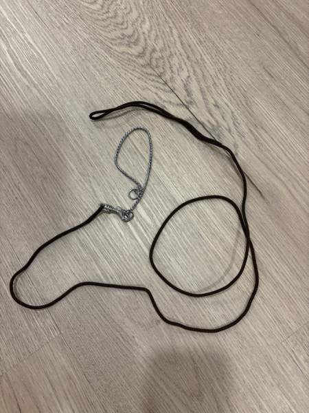 Näyttelyhihna Oulu - photo 1