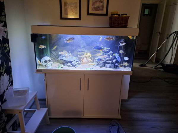 Eheim mp akvaario Kuopio - photo 1