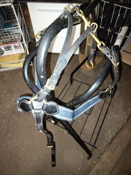 GG rintaremmi martignaali Pori - photo 1