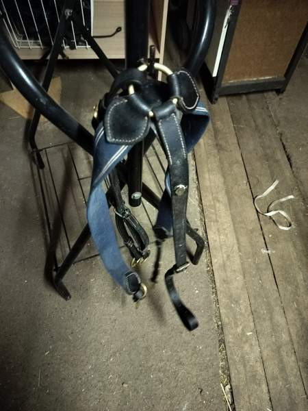 GG rintaremmi martignaali Pori - photo 2