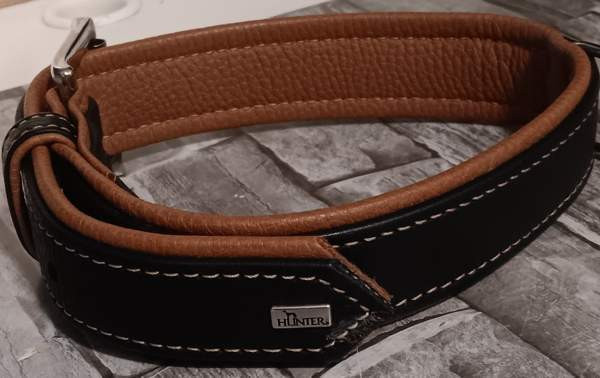 Koiran panta Kajaani – foto 1