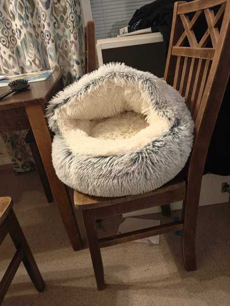 Kissan pesä Nurmijaervi - photo 2