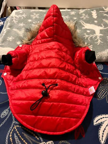 Kevyttakki ja Sadetakki pikkukoiralle Orimattila - valokuva 1