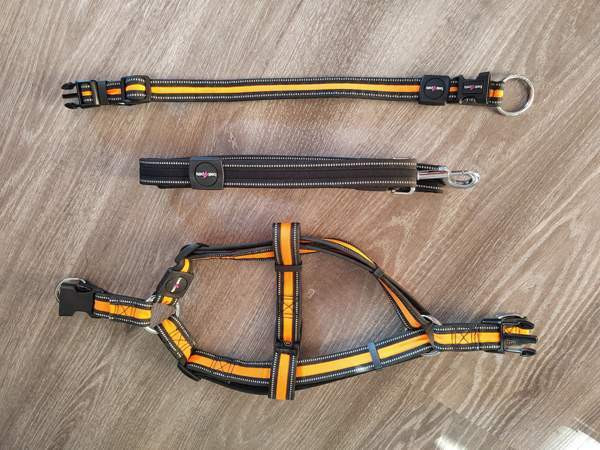 Pienen koiran kaulapanta, valjaat ja hihna Kotka - photo 2