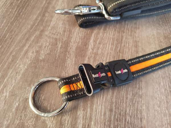 Pienen koiran kaulapanta, valjaat ja hihna Kotka - photo 3