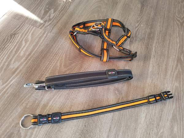 Pienen koiran kaulapanta, valjaat ja hihna Kotka - photo 1