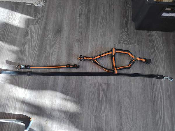 Pienen koiran kaulapanta, valjaat ja hihna Kotka - photo 4