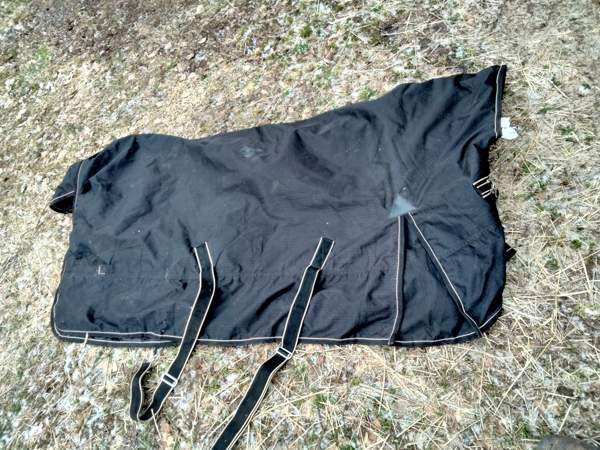 Loimi Raasepori – foto 1