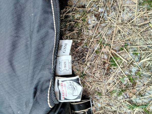 Loimi Raasepori – foto 2