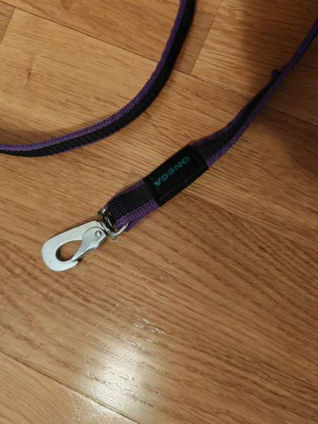 Erilaisia talutushihnoja Kerava - valokuva 8