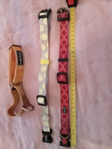 3 pienen koiran heijastavaa kaulapantaa. Rukka ja Basic Tampere - photo 4