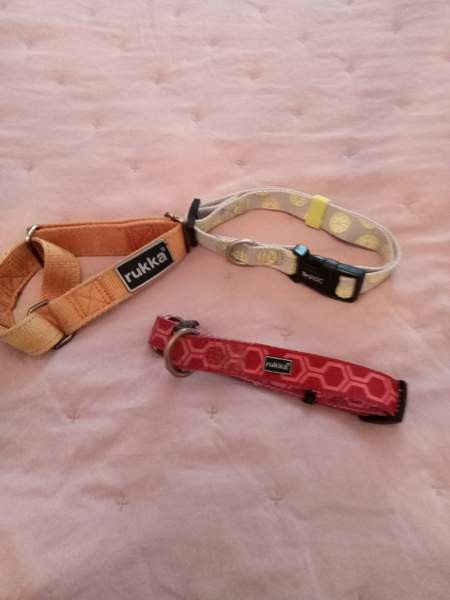 3 pienen koiran heijastavaa kaulapantaa. Rukka ja Basic Tampere - photo 1